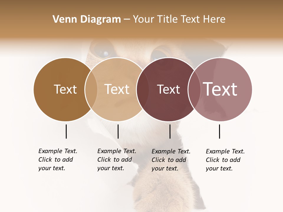 British Tabby Cut PowerPoint Template