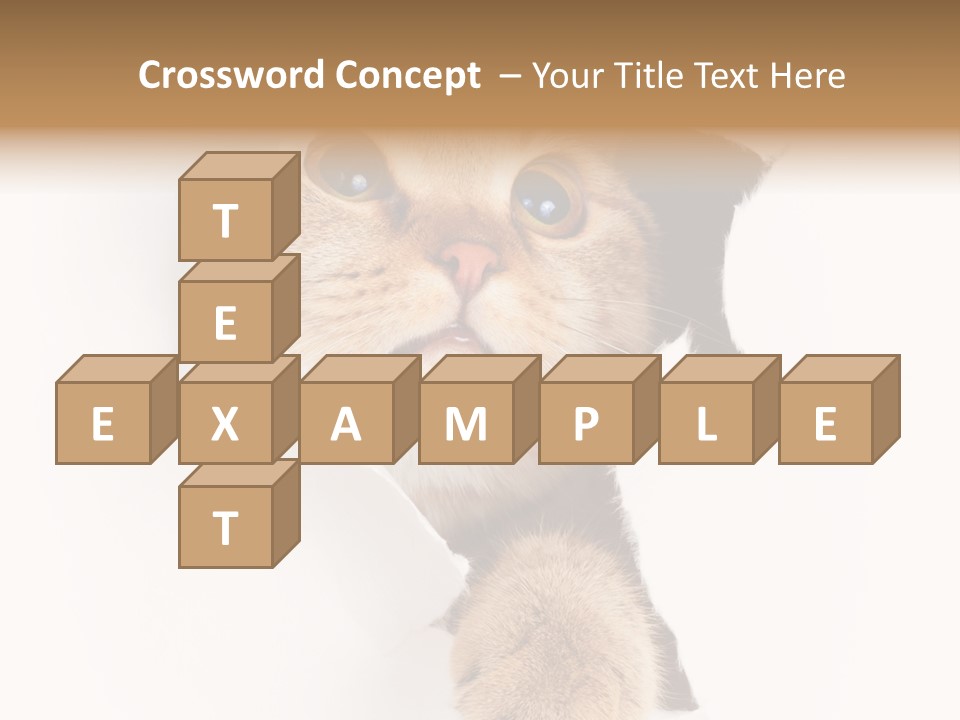 British Tabby Cut PowerPoint Template