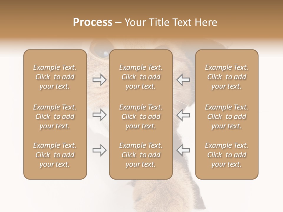 British Tabby Cut PowerPoint Template