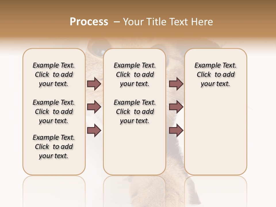 British Tabby Cut PowerPoint Template