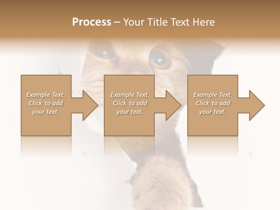 British Tabby Cut PowerPoint Template