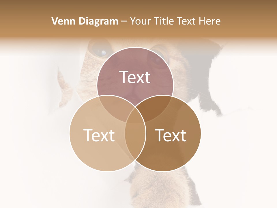 British Tabby Cut PowerPoint Template