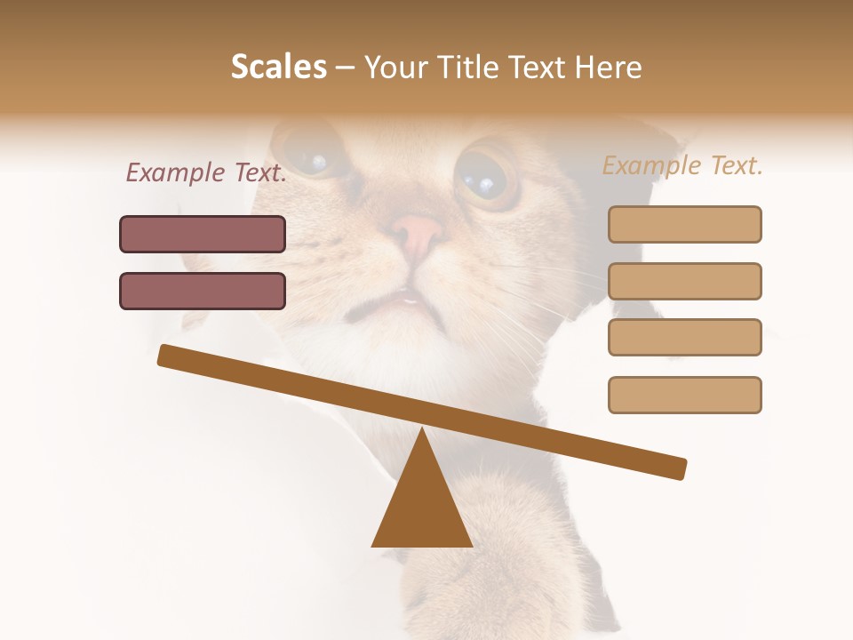 British Tabby Cut PowerPoint Template