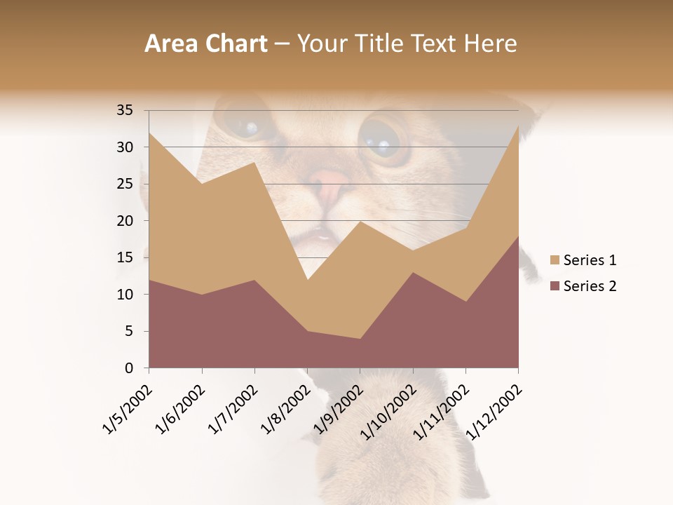 British Tabby Cut PowerPoint Template