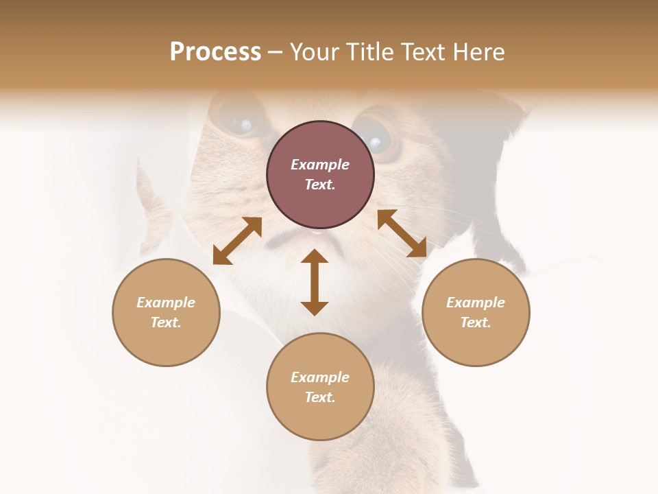 British Tabby Cut PowerPoint Template