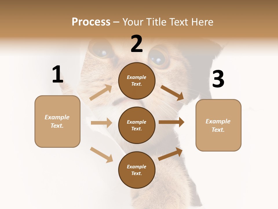 British Tabby Cut PowerPoint Template
