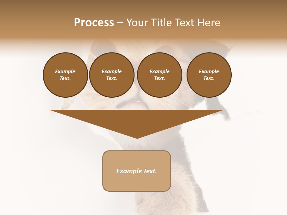 British Tabby Cut PowerPoint Template