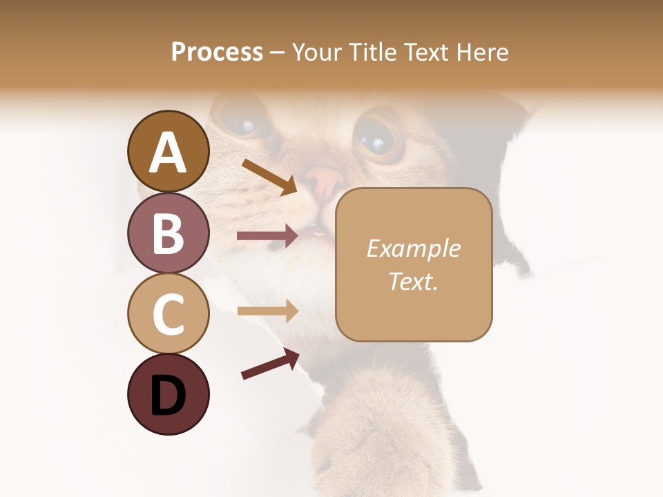 British Tabby Cut PowerPoint Template