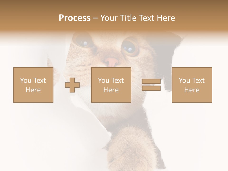 British Tabby Cut PowerPoint Template