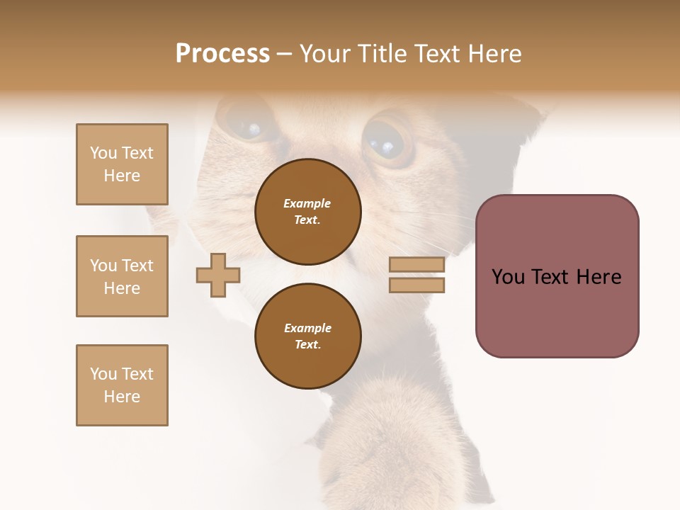 British Tabby Cut PowerPoint Template