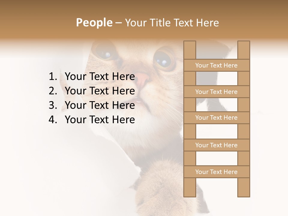 British Tabby Cut PowerPoint Template