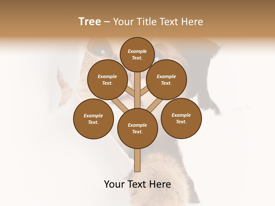 British Tabby Cut PowerPoint Template