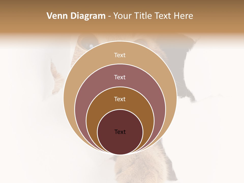 British Tabby Cut PowerPoint Template
