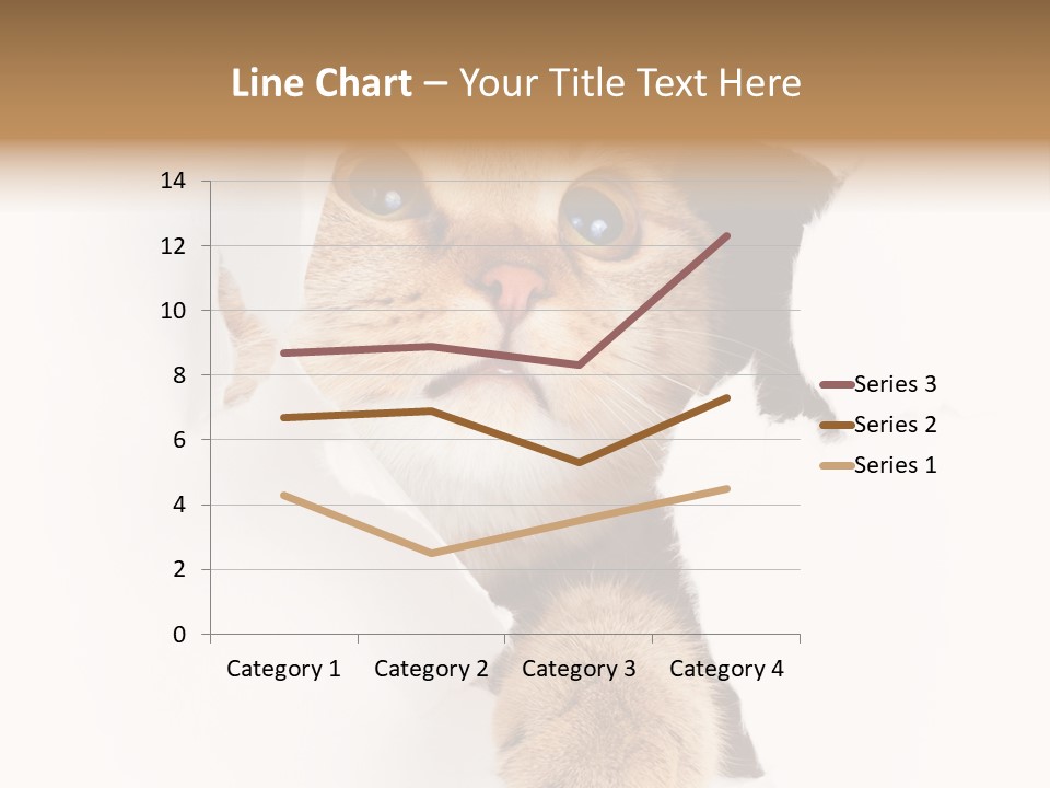 British Tabby Cut PowerPoint Template