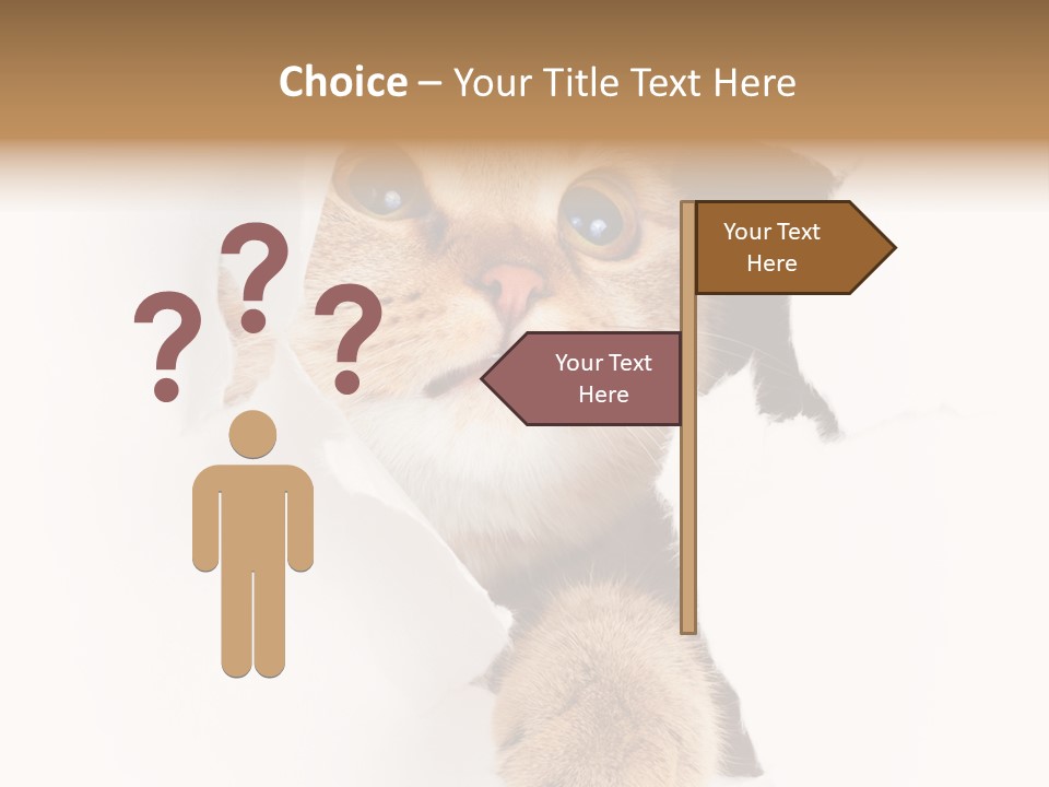 British Tabby Cut PowerPoint Template