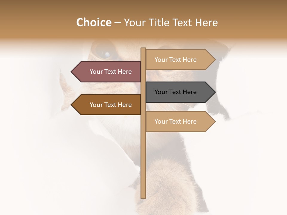 British Tabby Cut PowerPoint Template