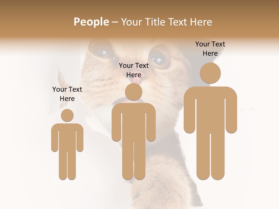 British Tabby Cut PowerPoint Template