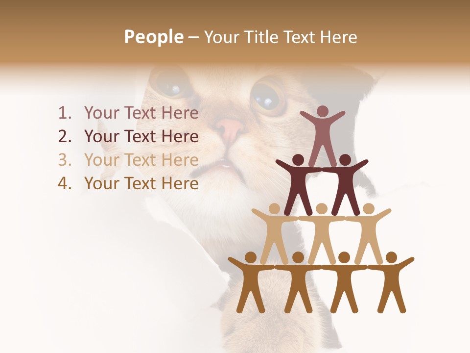 British Tabby Cut PowerPoint Template