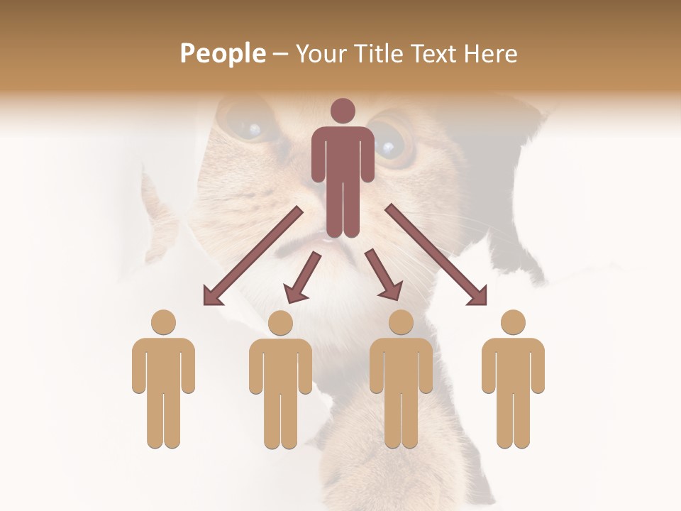 British Tabby Cut PowerPoint Template