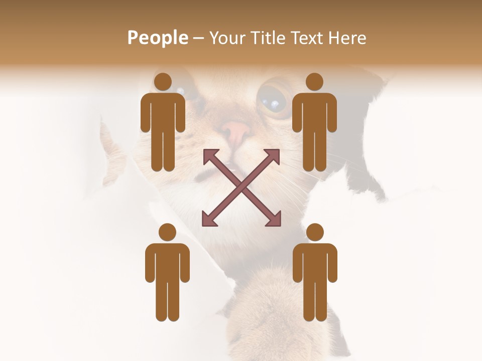 British Tabby Cut PowerPoint Template