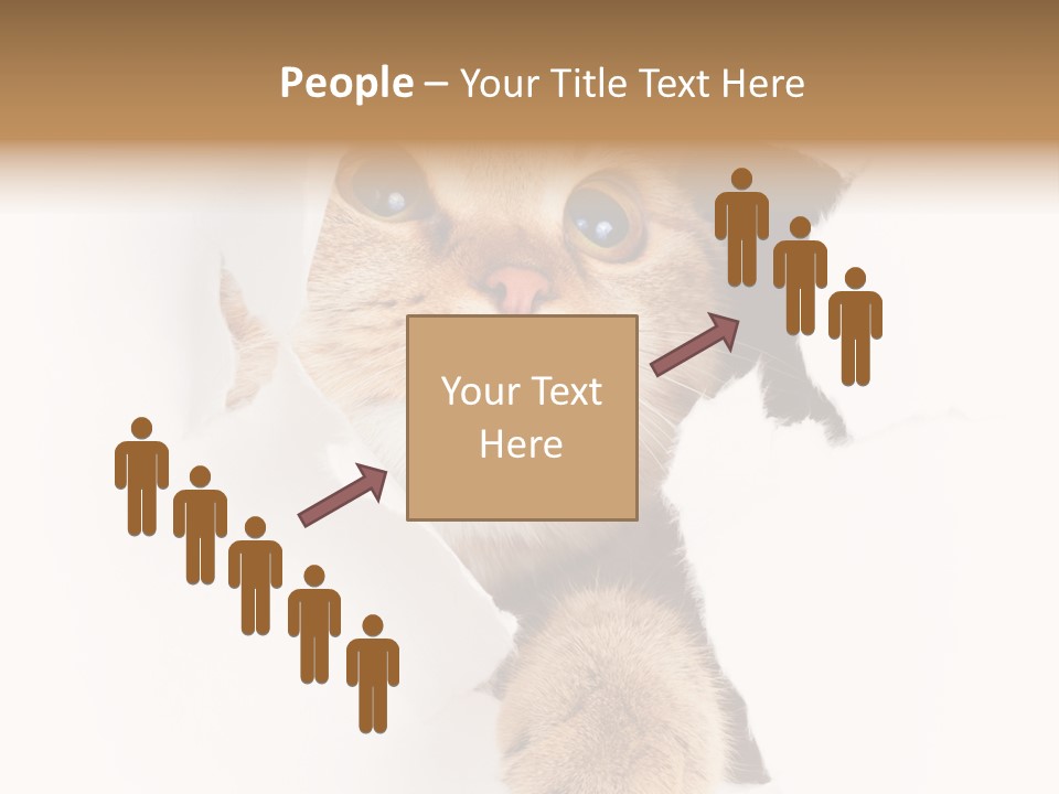 British Tabby Cut PowerPoint Template