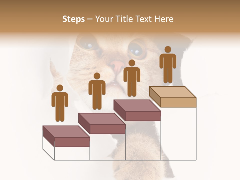 British Tabby Cut PowerPoint Template