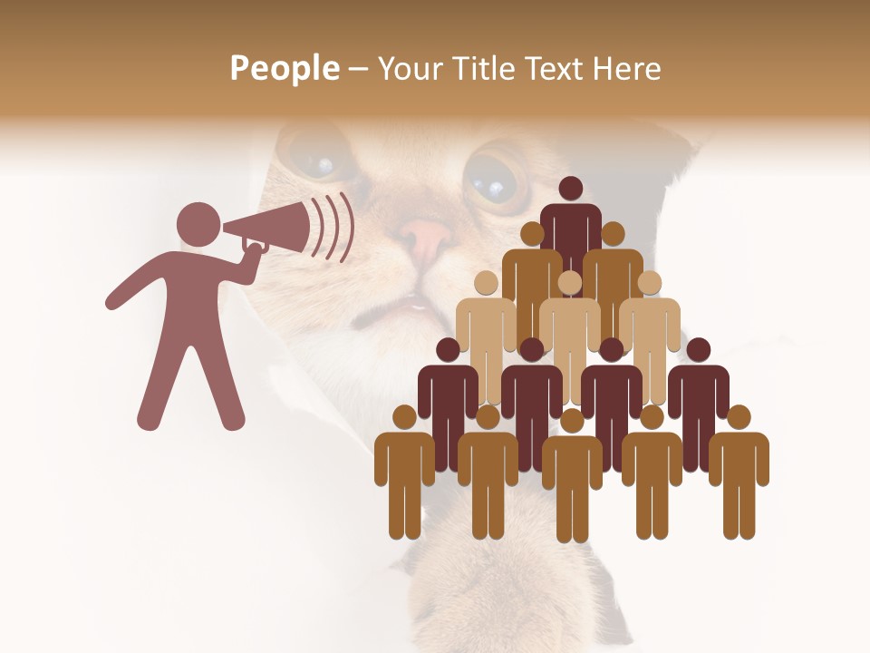 British Tabby Cut PowerPoint Template