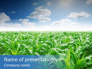 Horizon Agriculture Environment PowerPoint Template