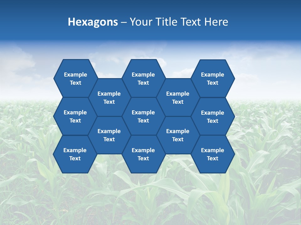 Horizon Agriculture Environment PowerPoint Template