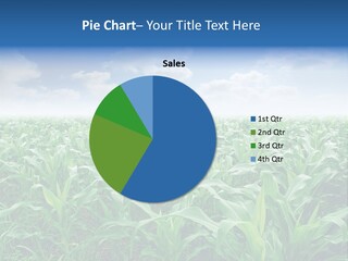 Horizon Agriculture Environment PowerPoint Template