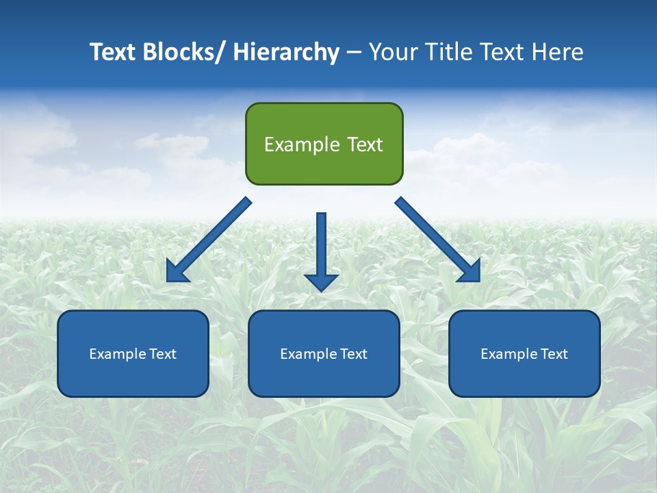 Horizon Agriculture Environment PowerPoint Template
