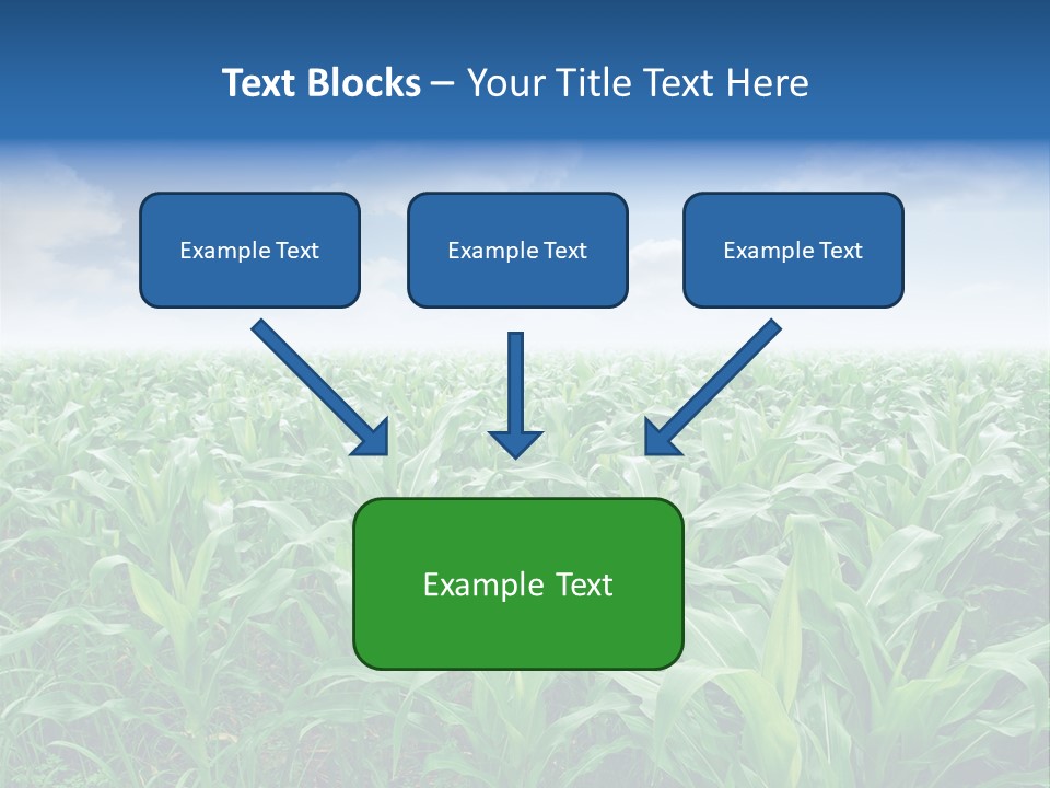 Horizon Agriculture Environment PowerPoint Template