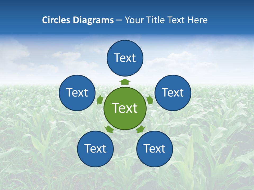 Horizon Agriculture Environment PowerPoint Template