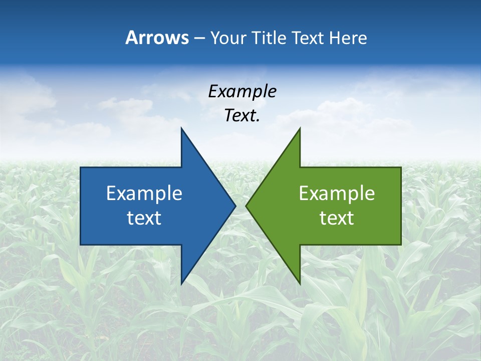 Horizon Agriculture Environment PowerPoint Template