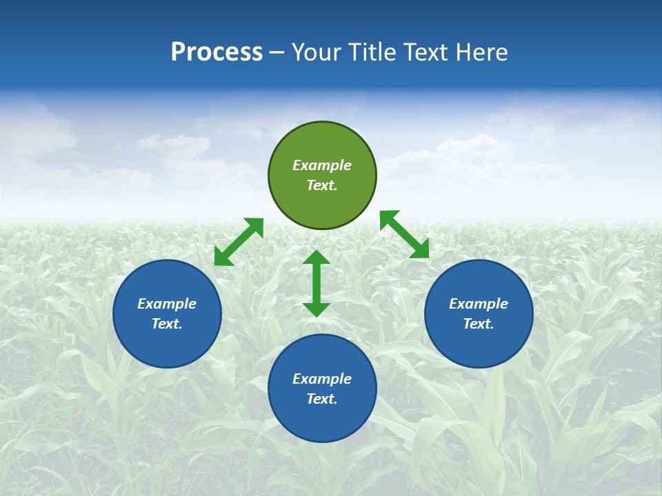 Horizon Agriculture Environment PowerPoint Template