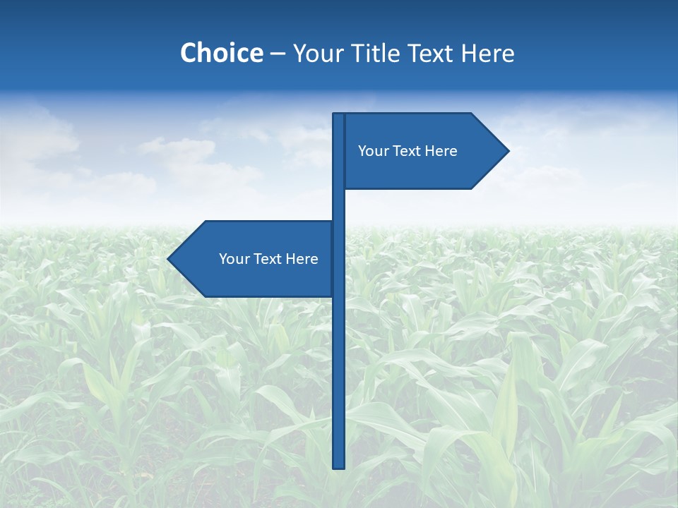 Horizon Agriculture Environment PowerPoint Template