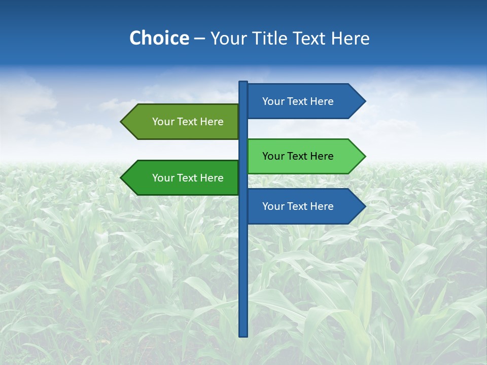 Horizon Agriculture Environment PowerPoint Template