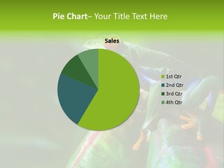 South America Horizontal Plant PowerPoint Template