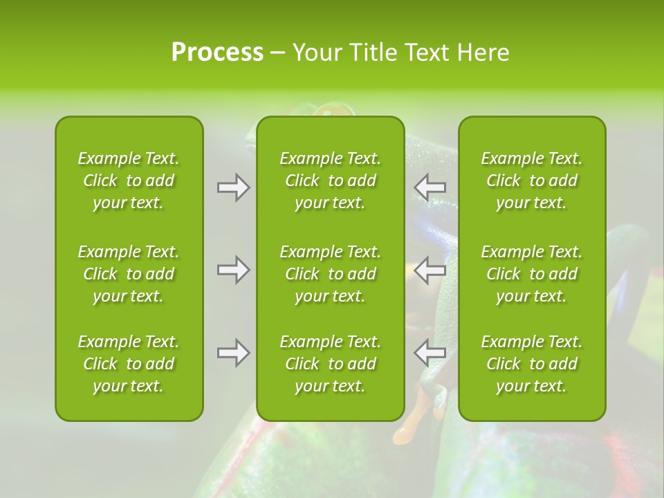 South America Horizontal Plant PowerPoint Template