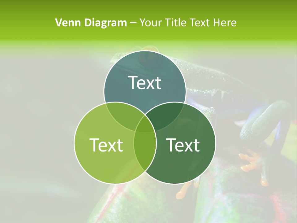 South America Horizontal Plant PowerPoint Template