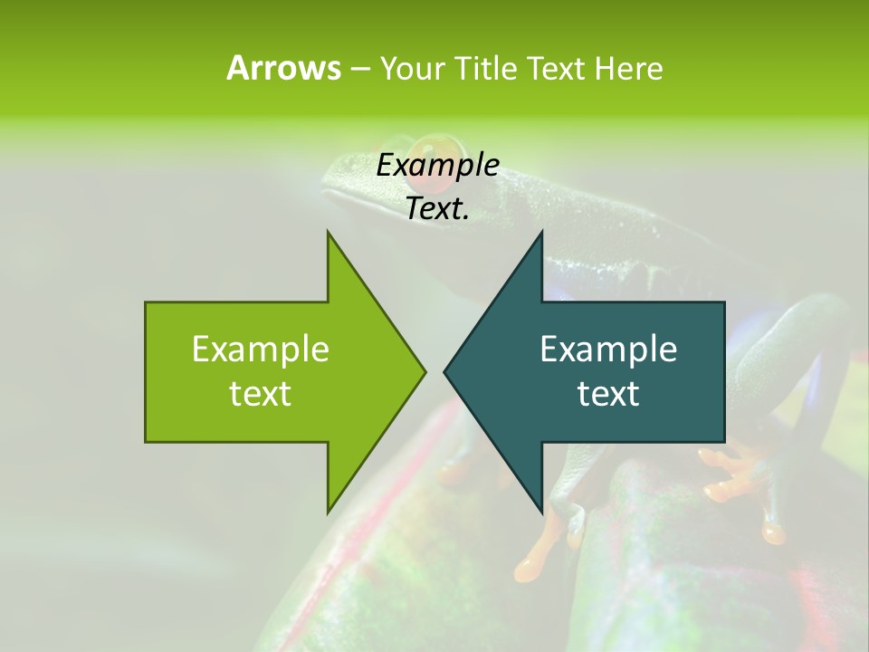 South America Horizontal Plant PowerPoint Template
