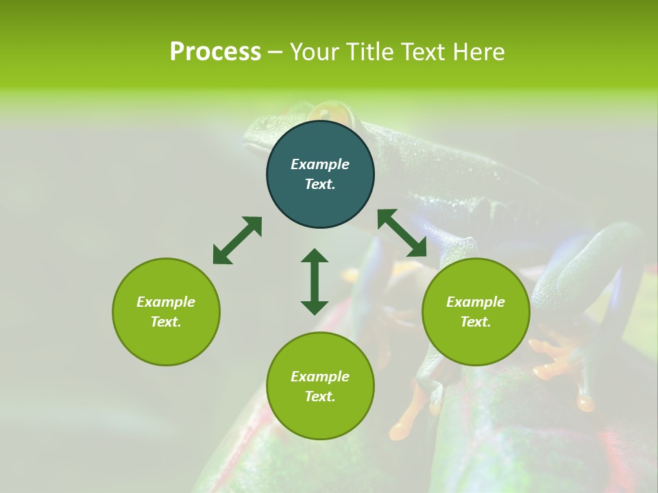 South America Horizontal Plant PowerPoint Template
