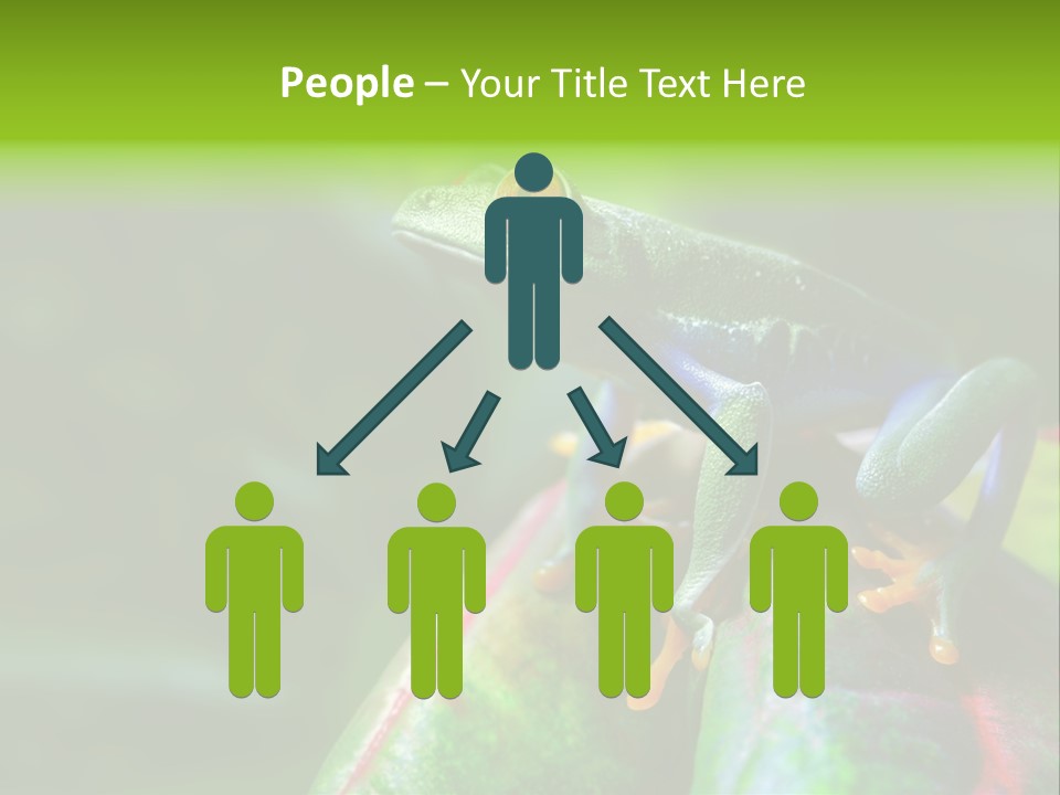 South America Horizontal Plant PowerPoint Template