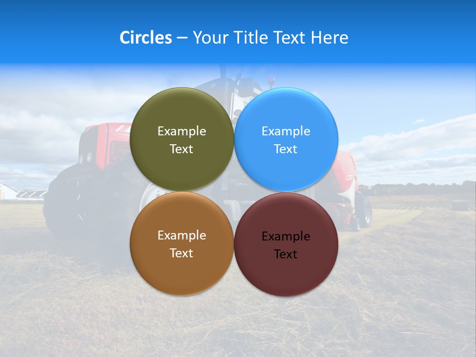 Stack Feed Corn PowerPoint Template