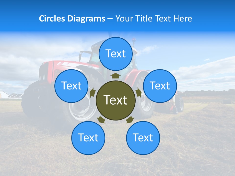 Stack Feed Corn PowerPoint Template