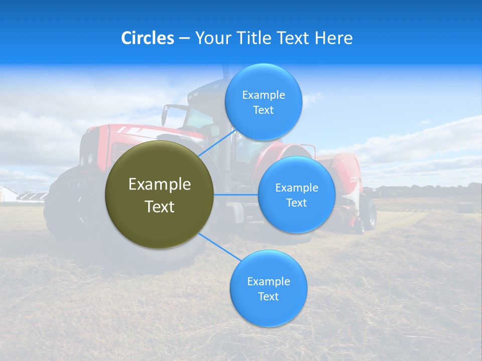 Stack Feed Corn PowerPoint Template