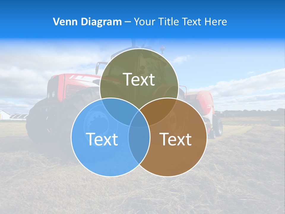 Stack Feed Corn PowerPoint Template
