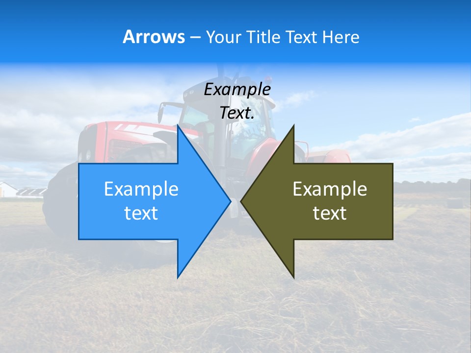 Stack Feed Corn PowerPoint Template