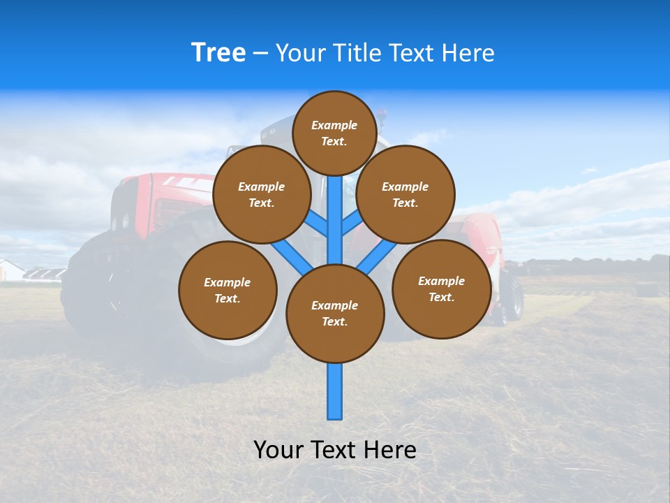 Stack Feed Corn PowerPoint Template