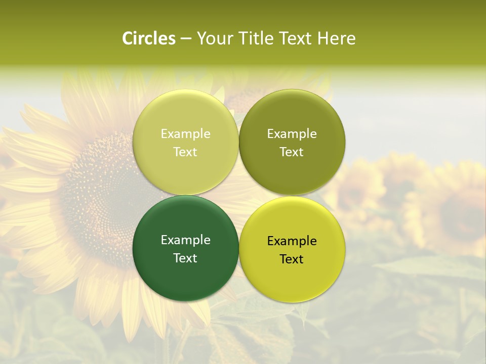 Circle Head Green PowerPoint Template